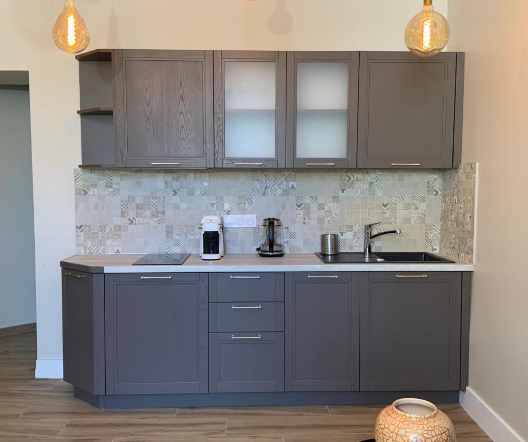 Apartament La Cosy Factory - Centre Historique Chambéry Zewnętrze zdjęcie